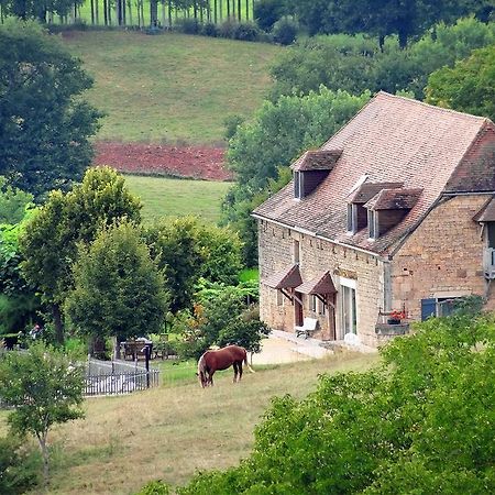 Bed and Breakfast Le Domaine Du Cerneau Nailhac Exterior foto