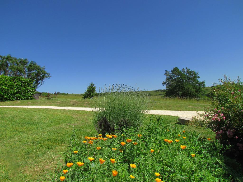 Bed and Breakfast Le Domaine Du Cerneau Nailhac Exterior foto