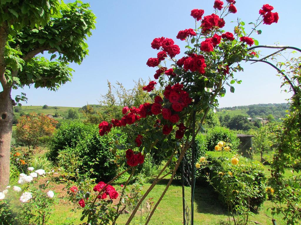 Bed and Breakfast Le Domaine Du Cerneau Nailhac Exterior foto